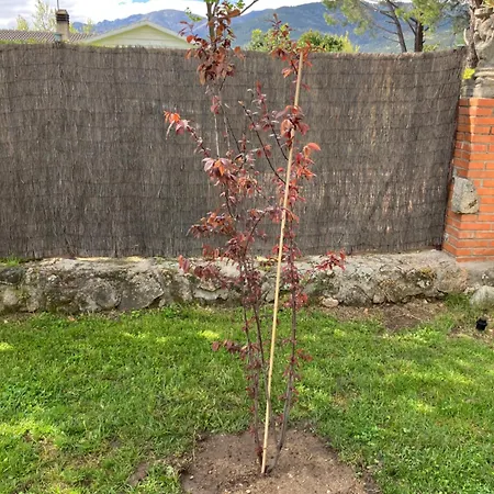 Vakantiehuis Herrero La Adrada