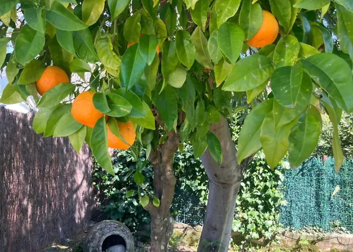 Сasa de vacaciones Herrero