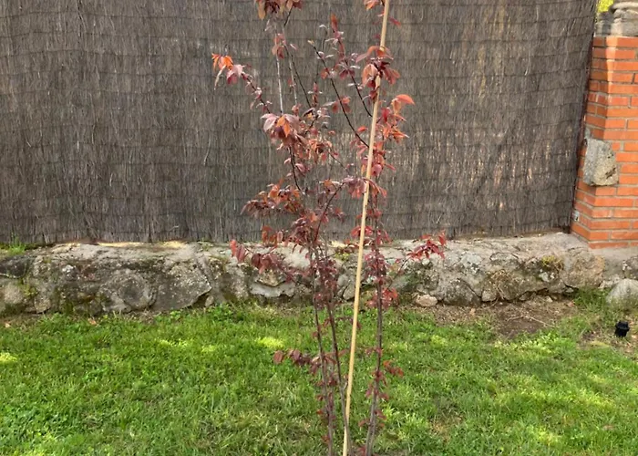 Сasa de vacaciones Herrero La Adrada